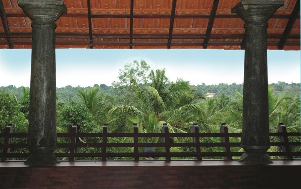 Amrutham Ayurvedic Village Resort Kovalam Pokoj fotografie